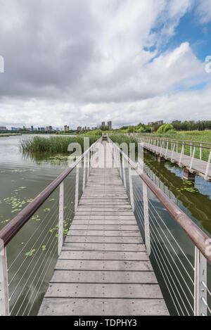 La construction d'un espace vert au bord du lac trestle sous temps nuageux Banque D'Images