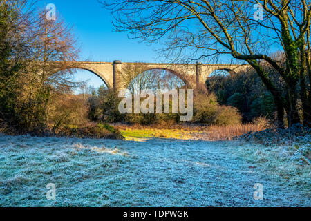 Victoria Bridge, un viaduc de 810 pieds de long sur la rivière Wear près de Fatfield, Washington.Il a été construit pour le chemin de fer de Durham Junction et... Banque D'Images