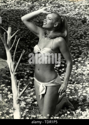 L'actrice allemande Solvi Stubing wearing bikini dans un champ de marguerites, 1970 Banque D'Images