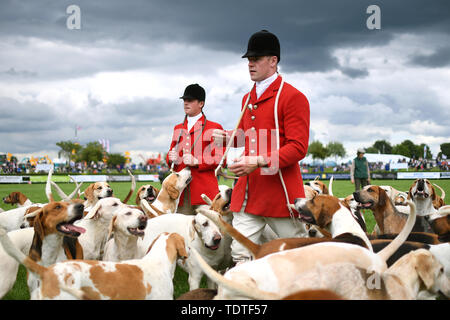 Chasser les maîtres de la chasse et leurs chiens Burton durant la parade Lincolnshire Show 2019 au Lincolnshire Showground. Banque D'Images