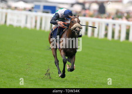 Monté par jockey fringant Willoughby Oisin Murphy sur son chemin pour gagner la reine pendant deux jours de vase Royal Ascot à Ascot Racecourse. Banque D'Images