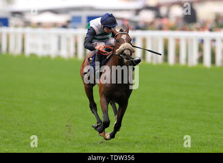 Monté par jockey fringant Willoughby Oisin Murphy sur son chemin pour gagner la reine pendant deux jours de vase Royal Ascot à Ascot Racecourse. Banque D'Images