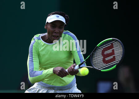 Venus Williams pendant six jours de la Nature Valley Classic à Edgbaston, Birmingham Club Priory. Banque D'Images