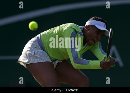 Venus Williams pendant six jours de la Nature Valley Classic à Edgbaston, Birmingham Club Priory. Banque D'Images