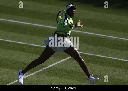 Venus Williams pendant six jours de la Nature Valley Classic à Edgbaston, Birmingham Club Priory. Banque D'Images