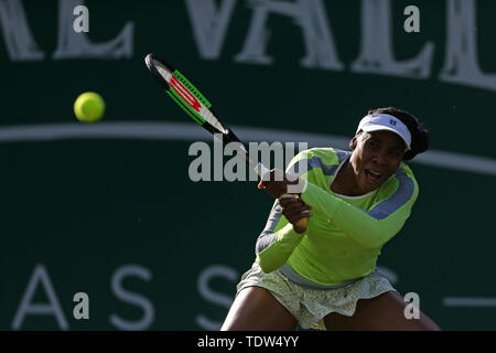 Venus Williams pendant six jours de la Nature Valley Classic à Edgbaston, Birmingham Club Priory. Banque D'Images