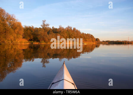 Kayak sur l'Elbe près de Pagensand isle, Allemagne, Schleswig-Holstein, Elbe Banque D'Images