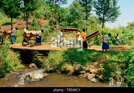 Un bureau d'enseignant à la new school de Lukananda, République du Congo, Parc National de Kahuzi-Biega, Lukananda Banque D'Images