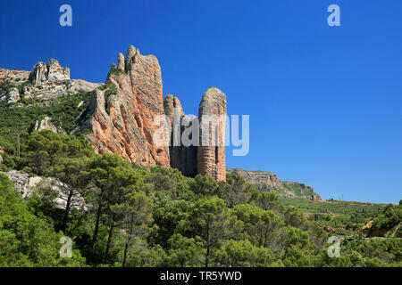 Rock formation Mallos de Riglos, l'Espagne, l'Aragon, Huesca Banque D'Images