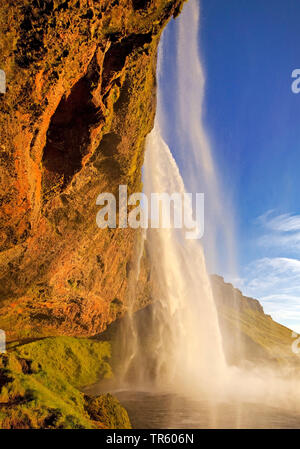 Cascade de Seljalandsfoss, rivière Seljalandsa, Islande, le sud de l'Islande, Seljalndsfoss Banque D'Images