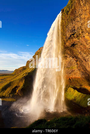 Cascade de Seljalandsfoss, rivière Seljalandsa, Islande, le sud de l'Islande, Seljalndsfoss Banque D'Images