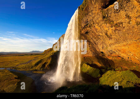 Cascade de Seljalandsfoss, rivière Seljalandsa, Islande, le sud de l'Islande, Seljalndsfoss Banque D'Images