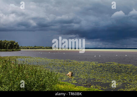 Avant la tempête sur le lac de Chiemsee, en Allemagne, en Bavière, le lac de Chiemsee Banque D'Images