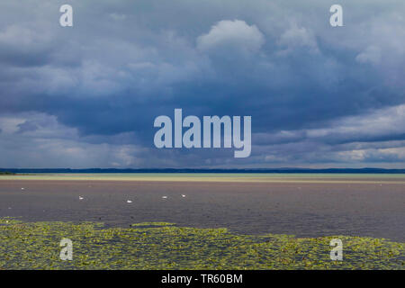 Avant la tempête sur le lac de Chiemsee, en Allemagne, en Bavière, le lac de Chiemsee Banque D'Images