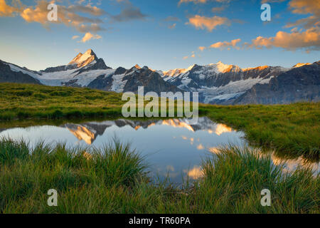 Schreckhorn et Finsteraarhorn montagne se reflétant dans un lac de montagne, Suisse Banque D'Images