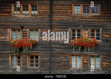 Maison en bois avec des géraniums dans les boîtes à fleurs, Suisse, Valais Banque D'Images