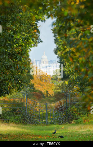 Vue depuis le Roi Henry's mound à la Cathédrale St Paul, Royaume-Uni, Angleterre, Richmond Park Banque D'Images