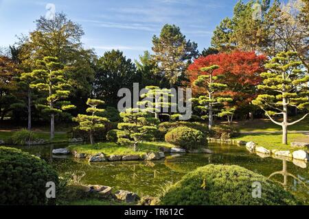 Jardin japonais dans le Nordpark, Allemagne, Rhénanie du Nord-Westphalie, Bas-rhin, Duesseldorf Banque D'Images