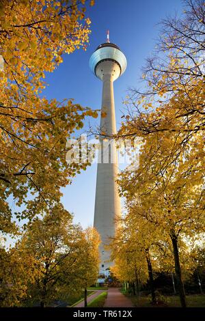 Tour de télévision Rheinturm en automne, l'Allemagne, en Rhénanie du Nord-Westphalie, Bas-rhin, Duesseldorf Banque D'Images