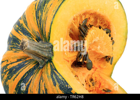 Potiron styrienne, huile styrienne la citrouille (Cucurbita pepo var. styriaca), potiron du cultivar Steirischer, Oelkuerbis huile styrienne pumpkin Banque D'Images