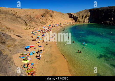 Playas de Papagayo en parc naturel Monumento natural de los Ajaches, Canaries, Lanzarote, Monumento natural de los Ajaches, Playa Blanca Banque D'Images