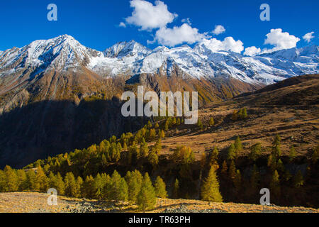 Vallée de Valnontey, Cogne, Italie, Aoste, Gran Paradiso National Park Banque D'Images