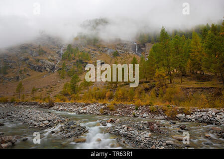 Rivière dans la vallée de Valnontey, coloration d'automne des arbres, de l'Italie, Aoste, Gran Paradiso National Park Banque D'Images