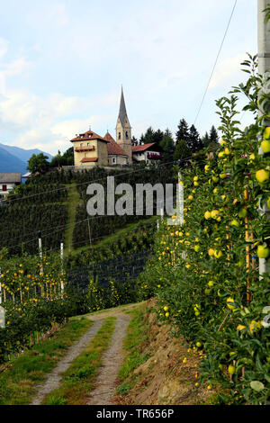 Voir d'Ulenturm snd St. Georgenkirche de chemin de randonnée Waalweg Schenner, Germany, Meran Banque D'Images