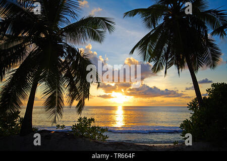 Coucher du soleil dans l'amérique du nord, Guadeloupe Banque D'Images