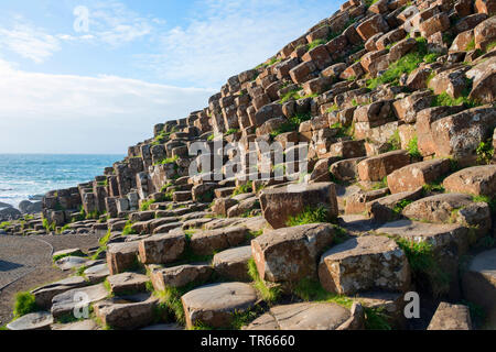 Les colonnes de basalte Giant's Causeway, l'Irlande, d'Antrim, en Irlande du Nord, Bushmills Banque D'Images