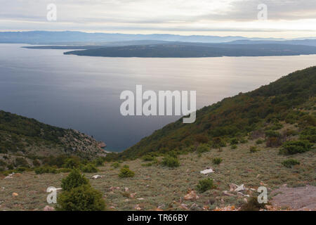 Vue depuis la plage de l'île de Krk Tramontana le matin, Croatie, Cres Banque D'Images