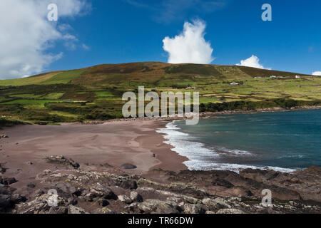 Plage de sable fin et côtes rocheuses, l'Irlande, le comté de Kerry, péninsule de Dingle Banque D'Images
