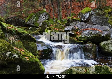 Steinklamm gorge en automne, en Allemagne, en Bavière, le Parc National de la forêt bavaroise, Spiegelau Banque D'Images