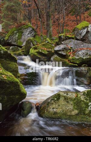Steinklamm gorge en automne, en Allemagne, en Bavière, le Parc National de la forêt bavaroise, Spiegelau Banque D'Images