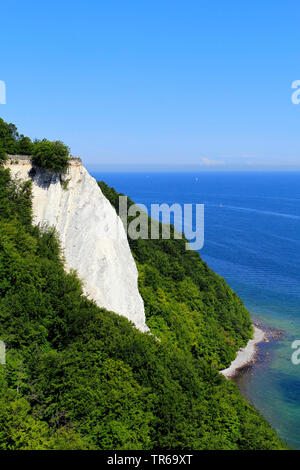 Craie Koenigsstuhl, Germany, Mecklenburg-Western Pomerania, Ruegen, Parc National de Jasmund Banque D'Images