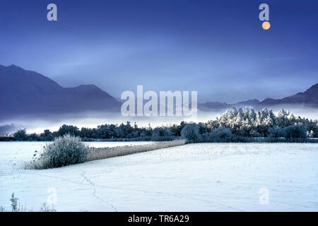 Murnauer Moos et du Wetterstein en hiver, Allemagne, Bavière, Oberbayern, Haute-Bavière Banque D'Images