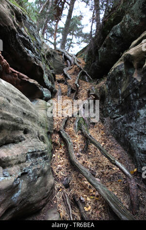 Katzensteine historique naturel, l'Allemagne, en Rhénanie du Nord-Westphalie, Katzvey, Mechernich Banque D'Images