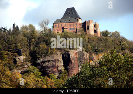 Château Nideggen, Allemagne, Rhénanie du Nord-Westphalie, Eifel, Nideggen Banque D'Images