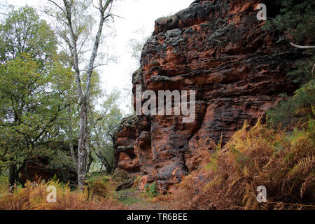 Katzensteine historique naturel, l'Allemagne, en Rhénanie du Nord-Westphalie, Katzvey, Mechernich Banque D'Images