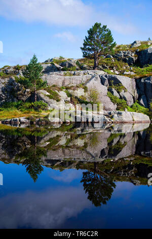 Lac des roches et sur la façon de Preikestolen, Norvège, Rogaland, Ryfylke Banque D'Images