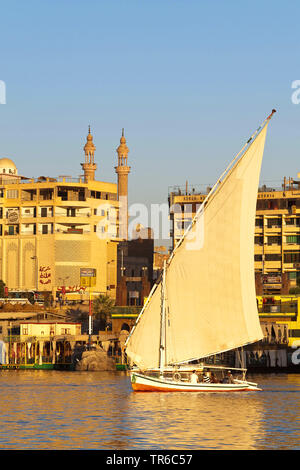 Felouque sur le Nil, l'Egypte Banque D'Images