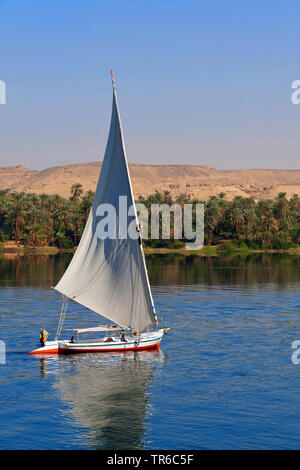 Felouque sur le Nil, l'Egypte Banque D'Images