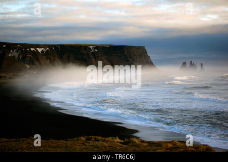 Côte Rocheuse et rock de Reynisdrangar des aiguilles dans le brouillard, l'Islande Banque D'Images