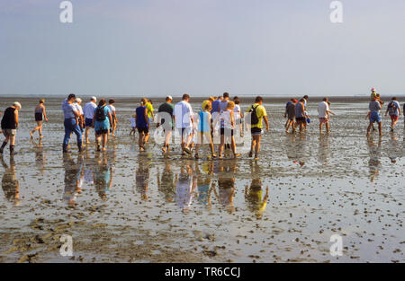 Visite guidée à travers les vasières près de Nessmersiel, ALLEMAGNE, Basse-Saxe, Schleswig-Holstein mer des Wadden Parc National, Nessmersiel Banque D'Images