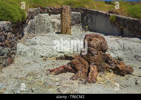 Arbre fossile, geoparc de la forêt pétrifiée de Sigri, Grèce, Lesbos, Mytilène Banque D'Images