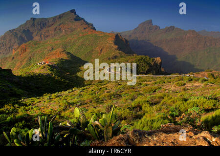 Route de Masca dans le massif de Teno, Iles Canaries, Tenerife Banque D'Images