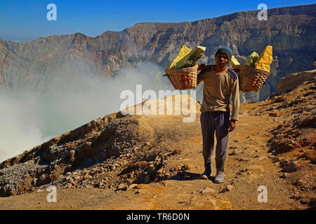 Worker carrying roches soufre de Kawah Ijen, Indonésie, Java, Parc National de Bromo Tengger Semeru Banque D'Images