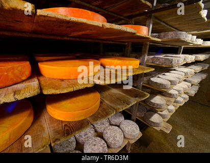 La production de fromage à Val d'Isère, France, ski Tarentaise Banque D'Images