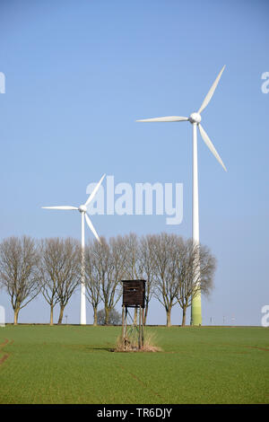 Paysage de champ avec hide, rangée d'arbres et les roues du vent au printemps, l'Allemagne, Rhénanie du Nord-Westphalie Banque D'Images