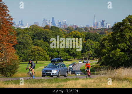 File de voitures dans le Richmond Park, Royaume-Uni, Angleterre, Londres Banque D'Images